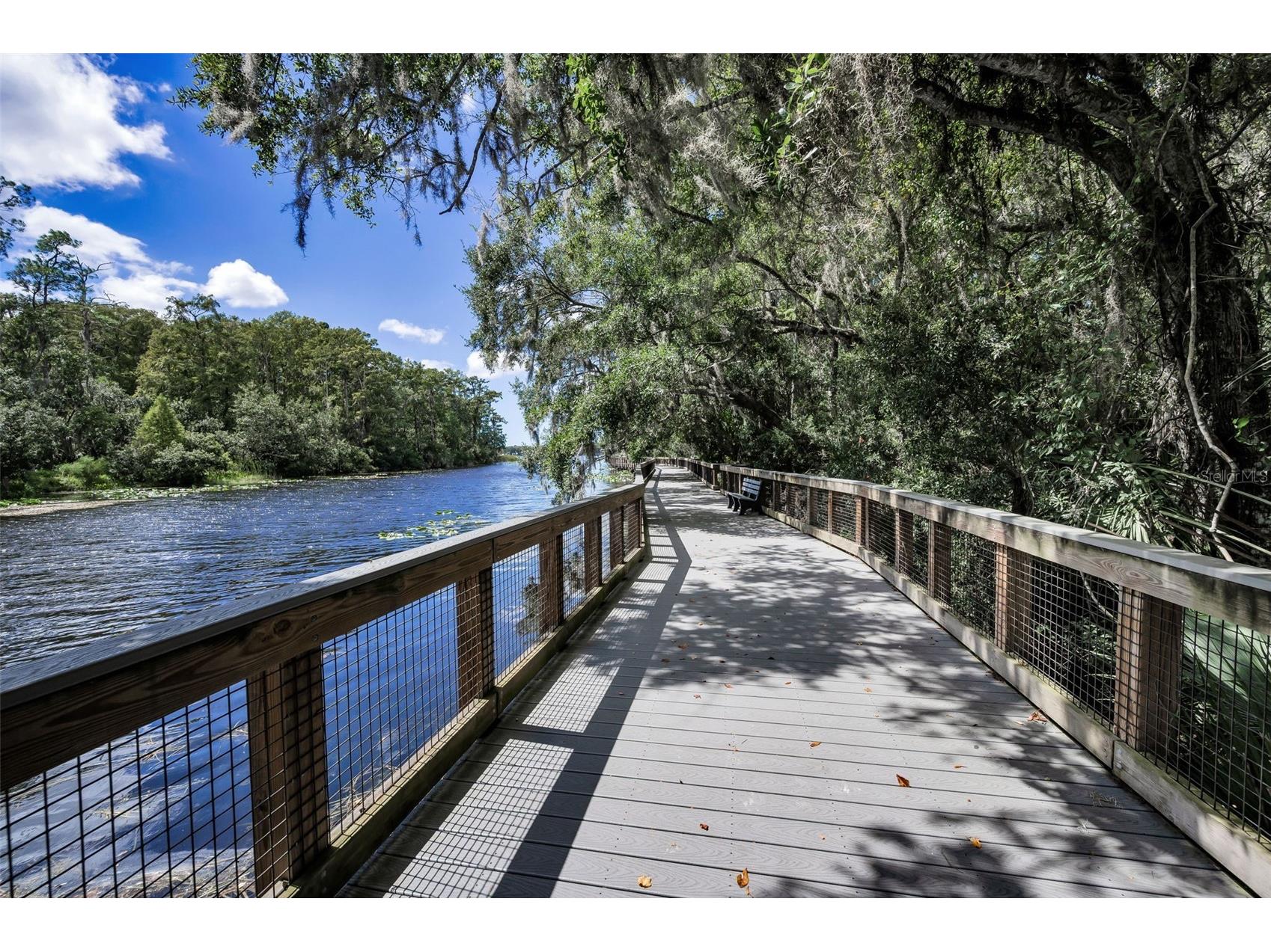 3164 Brooker Creek Way Palm Harbor FL 34685 TB8486837 image64