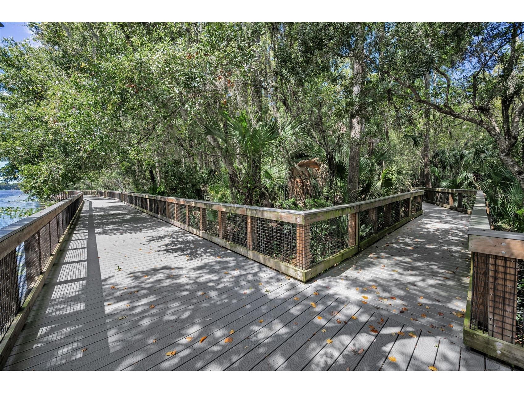 3164 Brooker Creek Way Palm Harbor FL 34685 TB8486837 image65