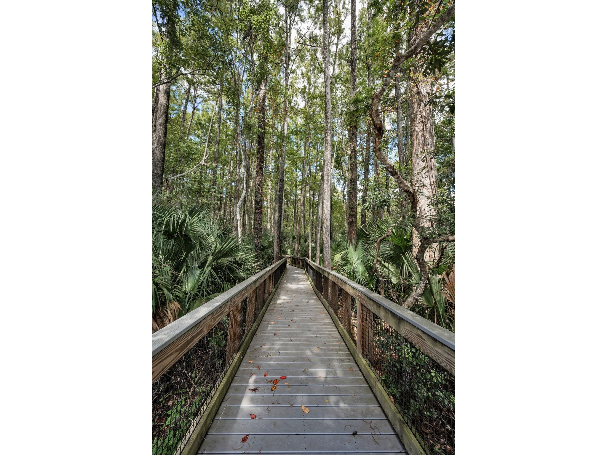3164 Brooker Creek Way Palm Harbor FL 34685 TB8486837 image66