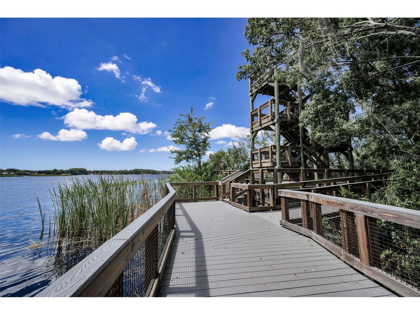 3164 Brooker Creek Way Palm Harbor FL 34685 TB8486837 image67