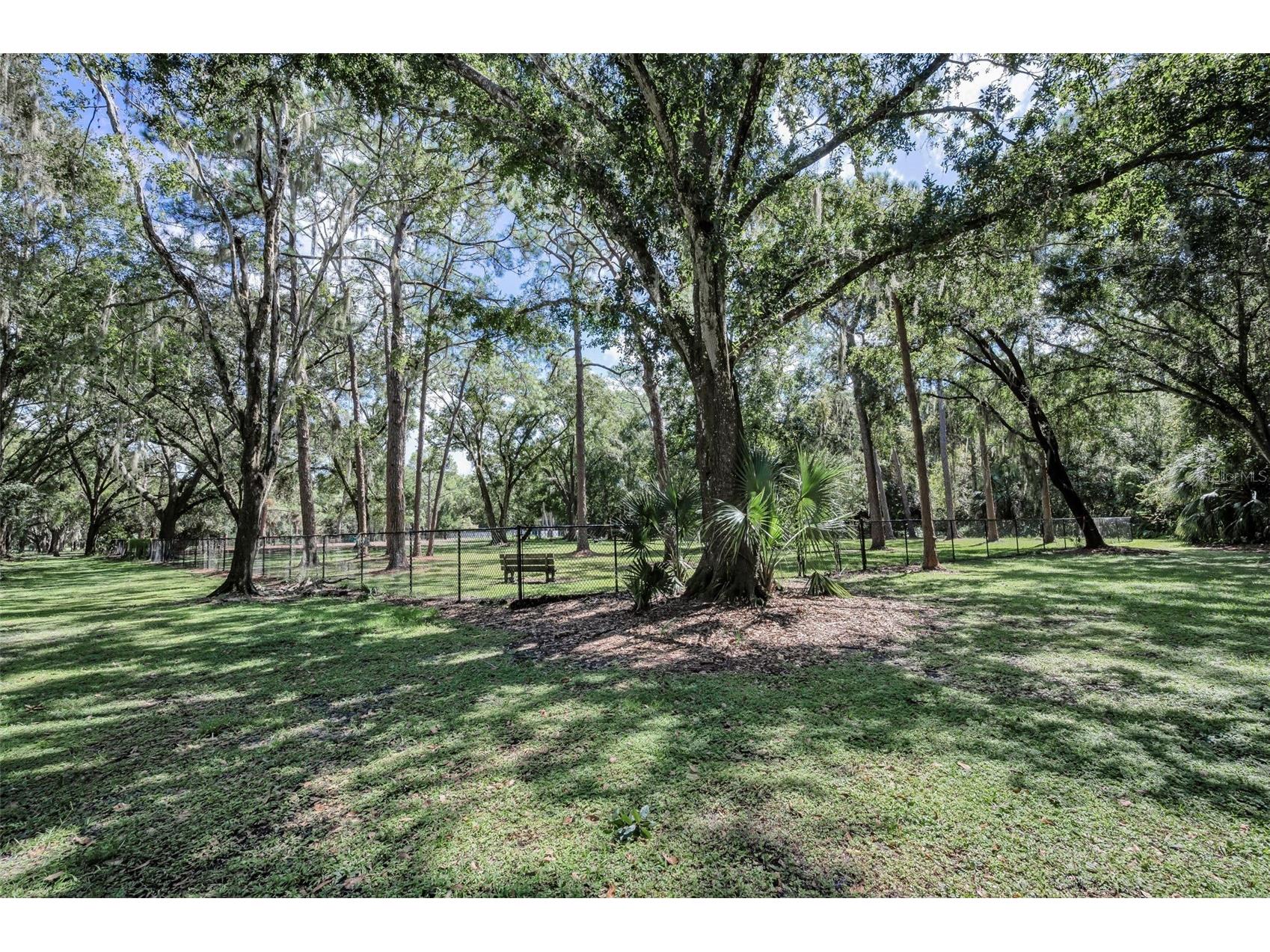 3164 Brooker Creek Way Palm Harbor FL 34685 TB8486837 image68