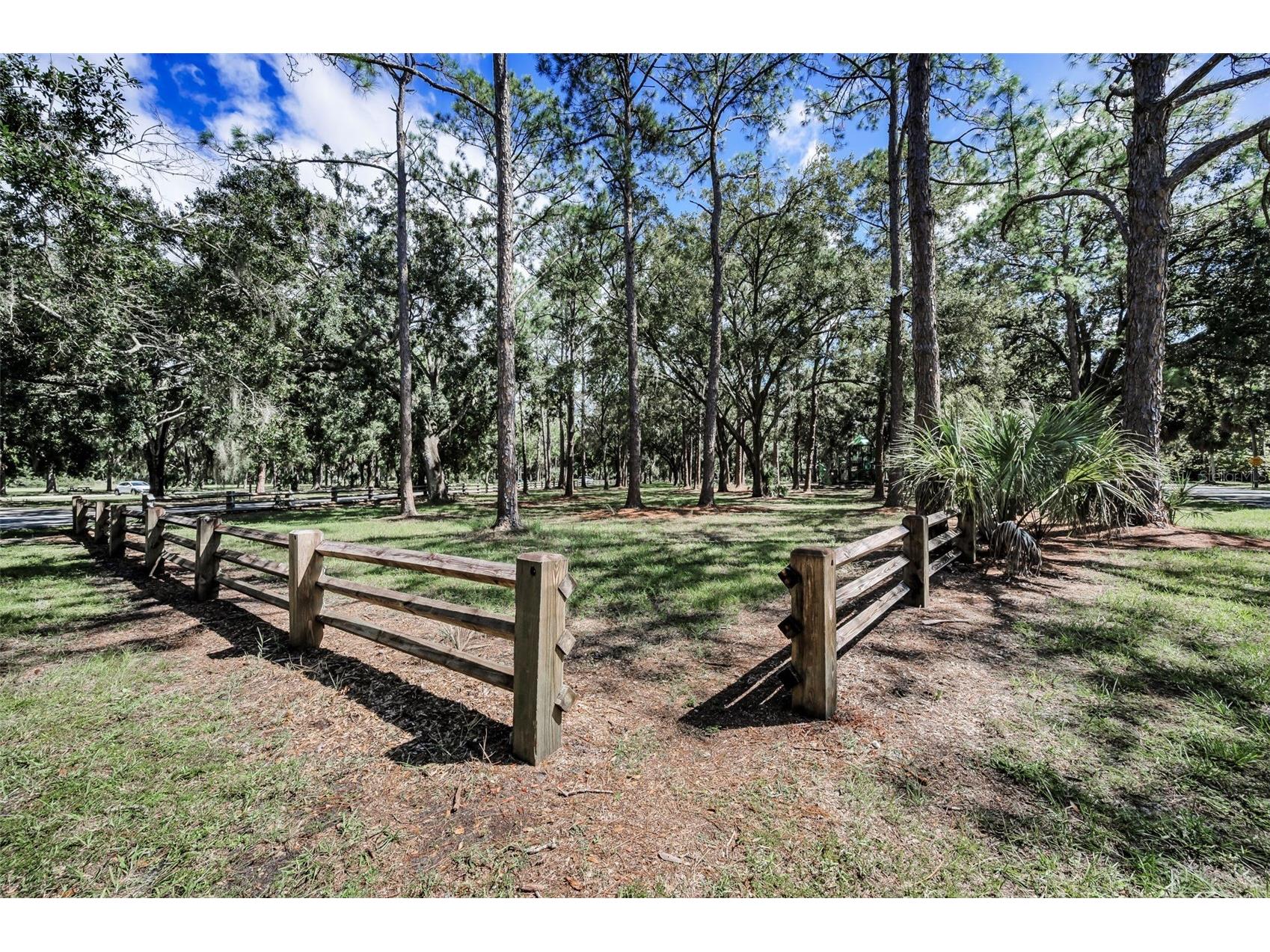 3164 Brooker Creek Way Palm Harbor FL 34685 TB8486837 image69