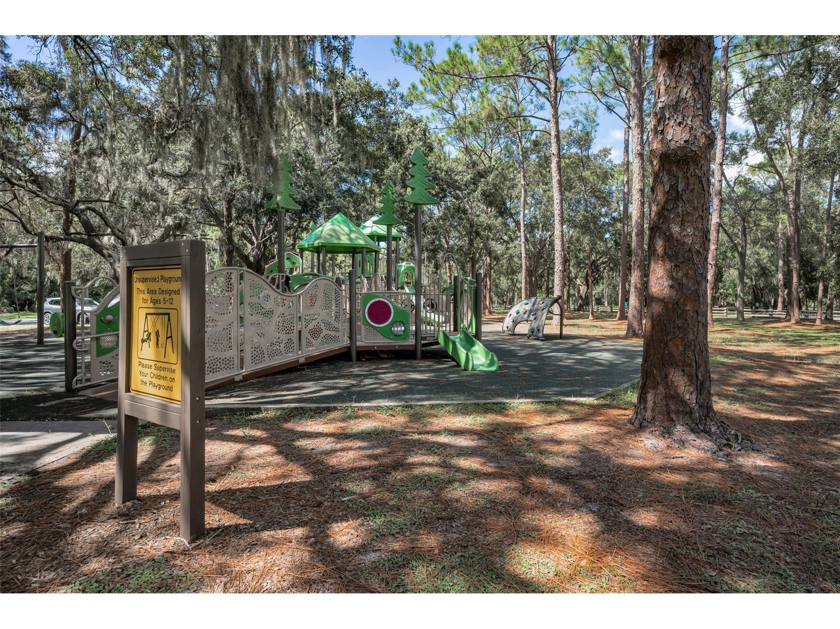 3164 Brooker Creek Way Palm Harbor FL 34685 TB8486837 image71