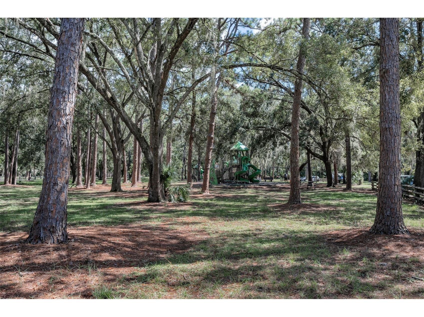 3164 Brooker Creek Way Palm Harbor FL 34685 TB8486837 image72