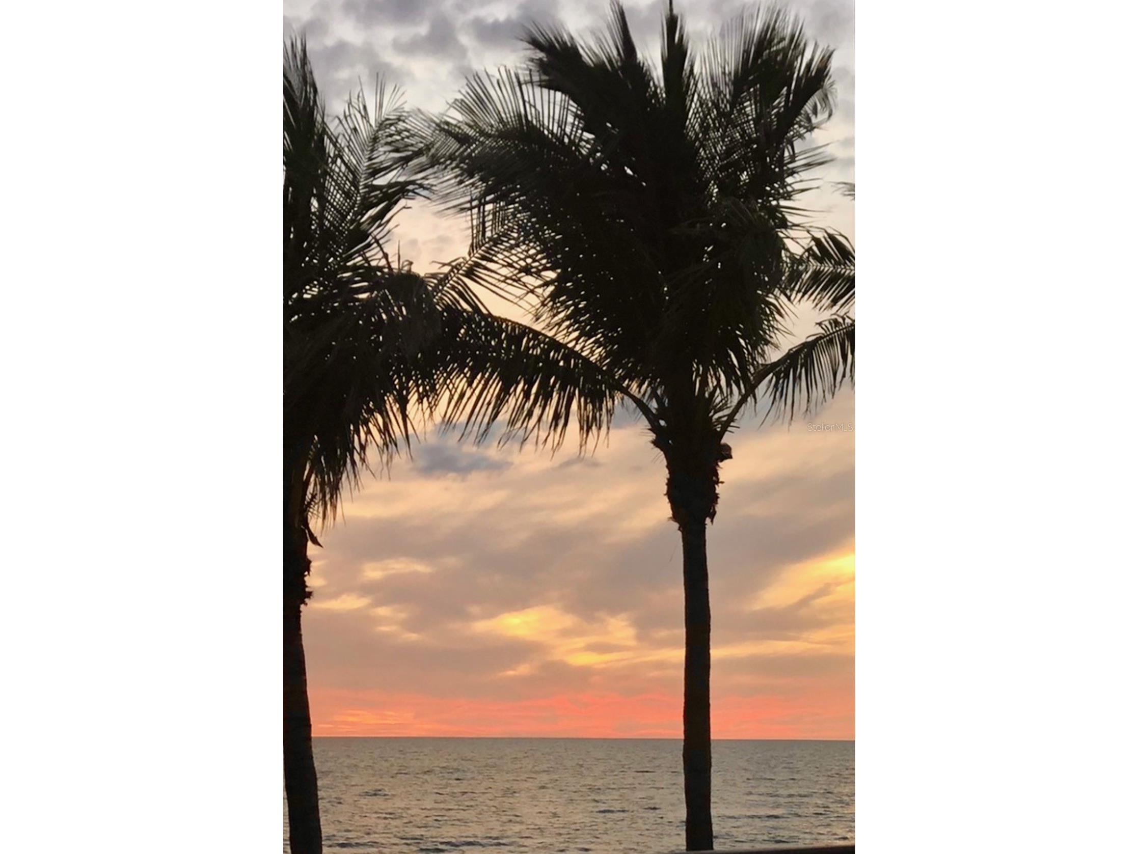 3164 Fallow Road Venice FL 34293 A4685683 image30