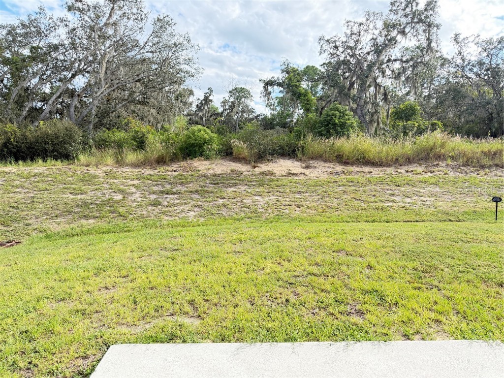 3164 Goose Road Davenport FL 33837 O6353942 image17