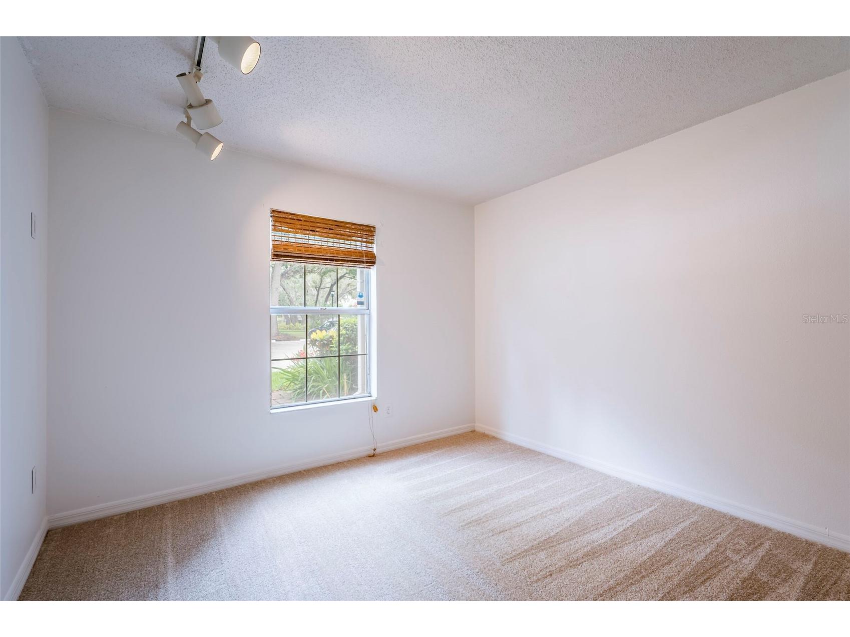 3164 Valley Oaks Drive #3164 Tampa FL 33618 TB8515005 image19