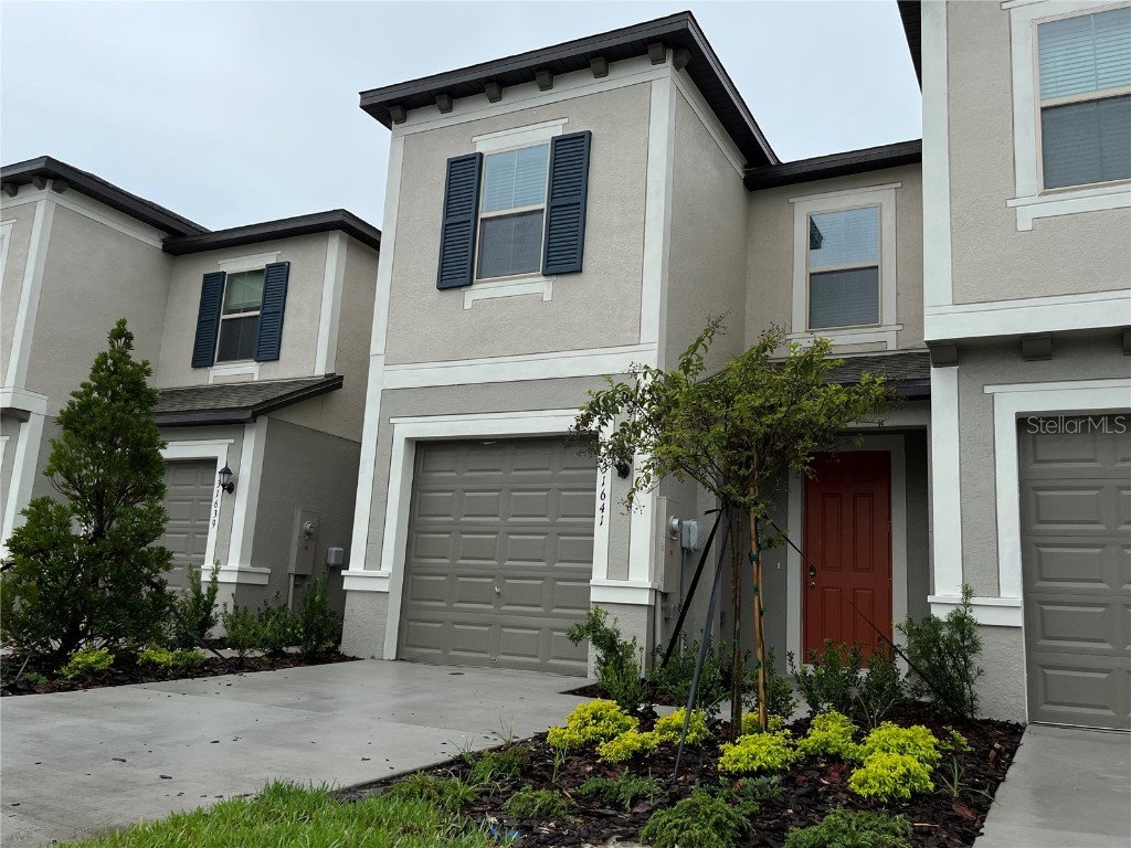 31641 Blue Passing Loop Wesley Chapel FL 33545 T3448968 image1