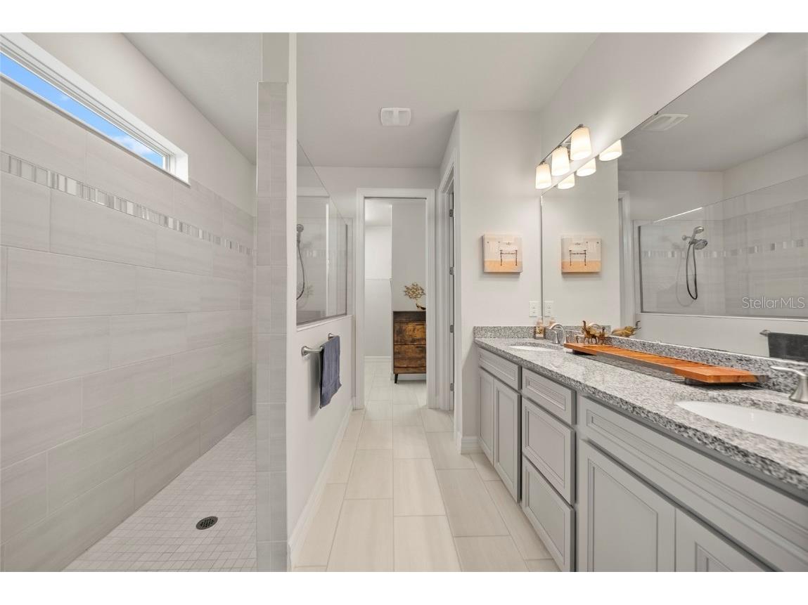 31643 Colada Drift Way Wesley Chapel FL 33545 TB8386197 image11