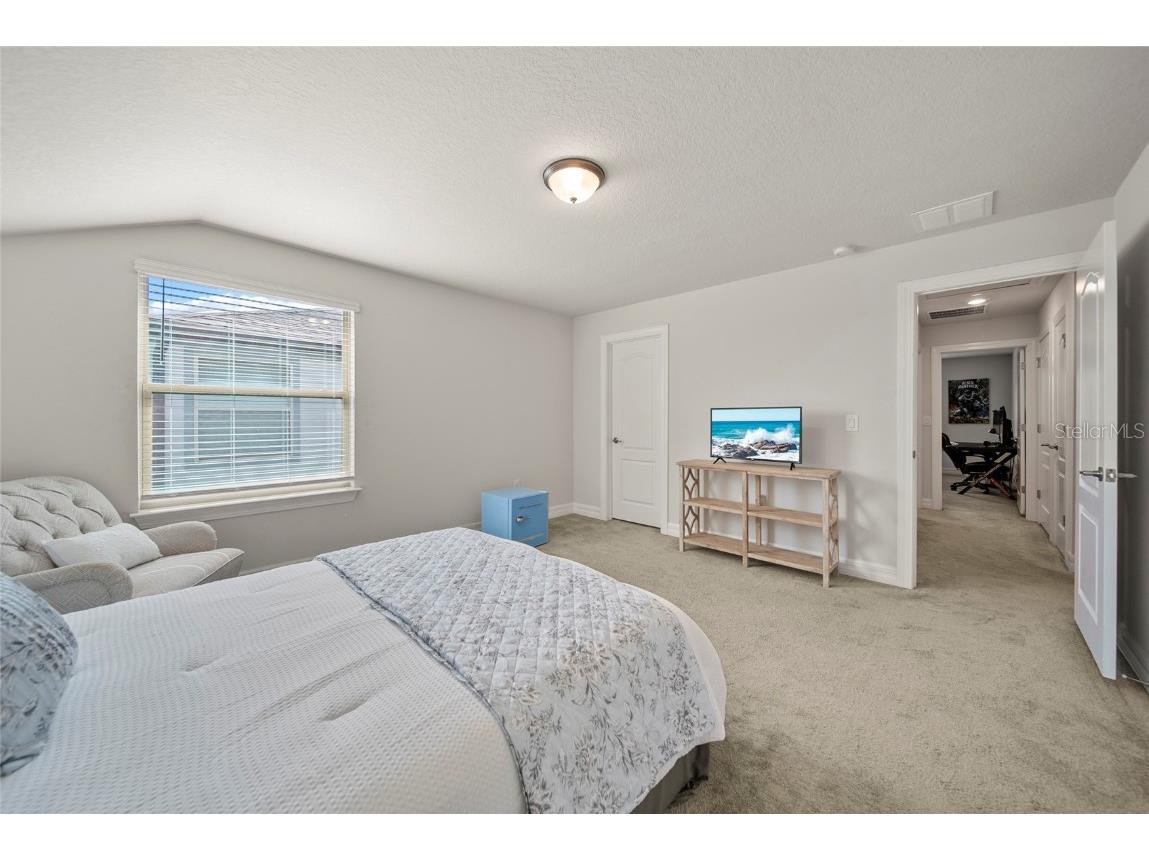 31643 Colada Drift Way Wesley Chapel FL 33545 TB8386197 image14