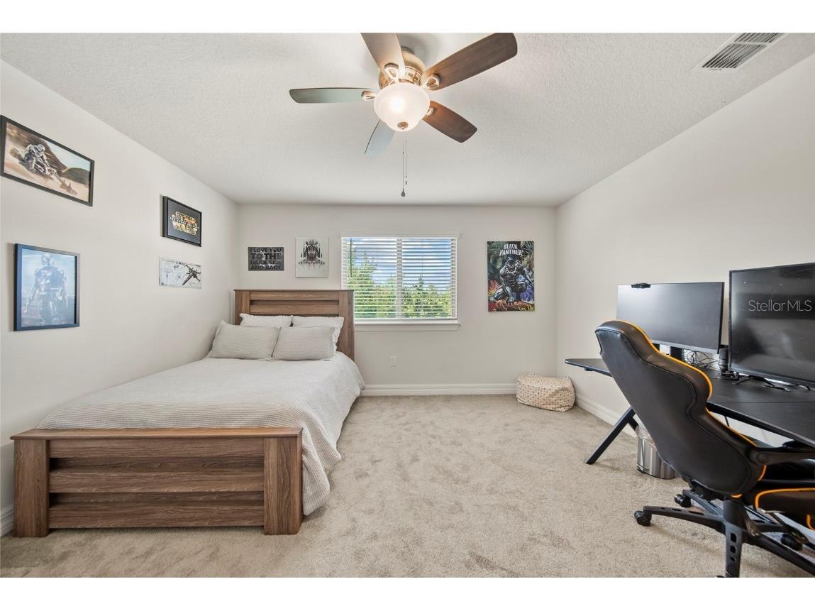 31643 Colada Drift Way Wesley Chapel FL 33545 TB8386197 image15