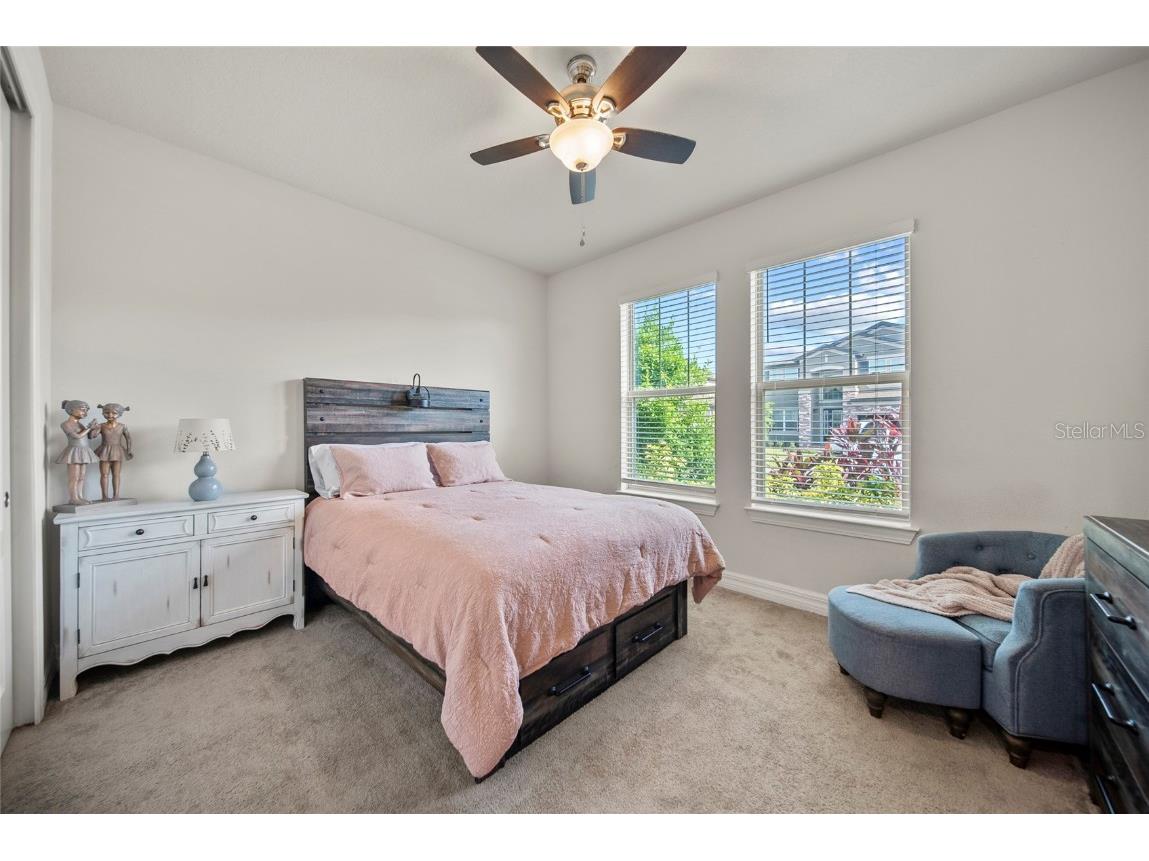 31643 Colada Drift Way Wesley Chapel FL 33545 TB8386197 image17