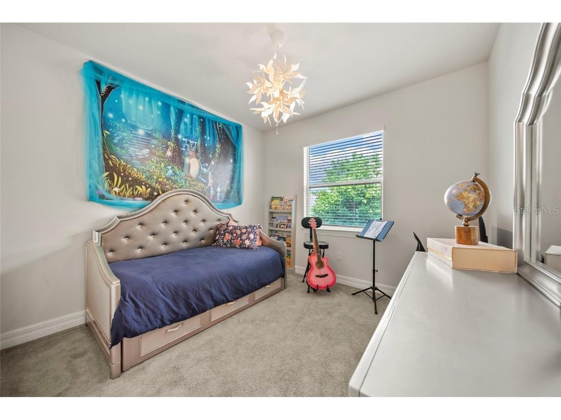 31643 Colada Drift Way Wesley Chapel FL 33545 TB8386197 image18