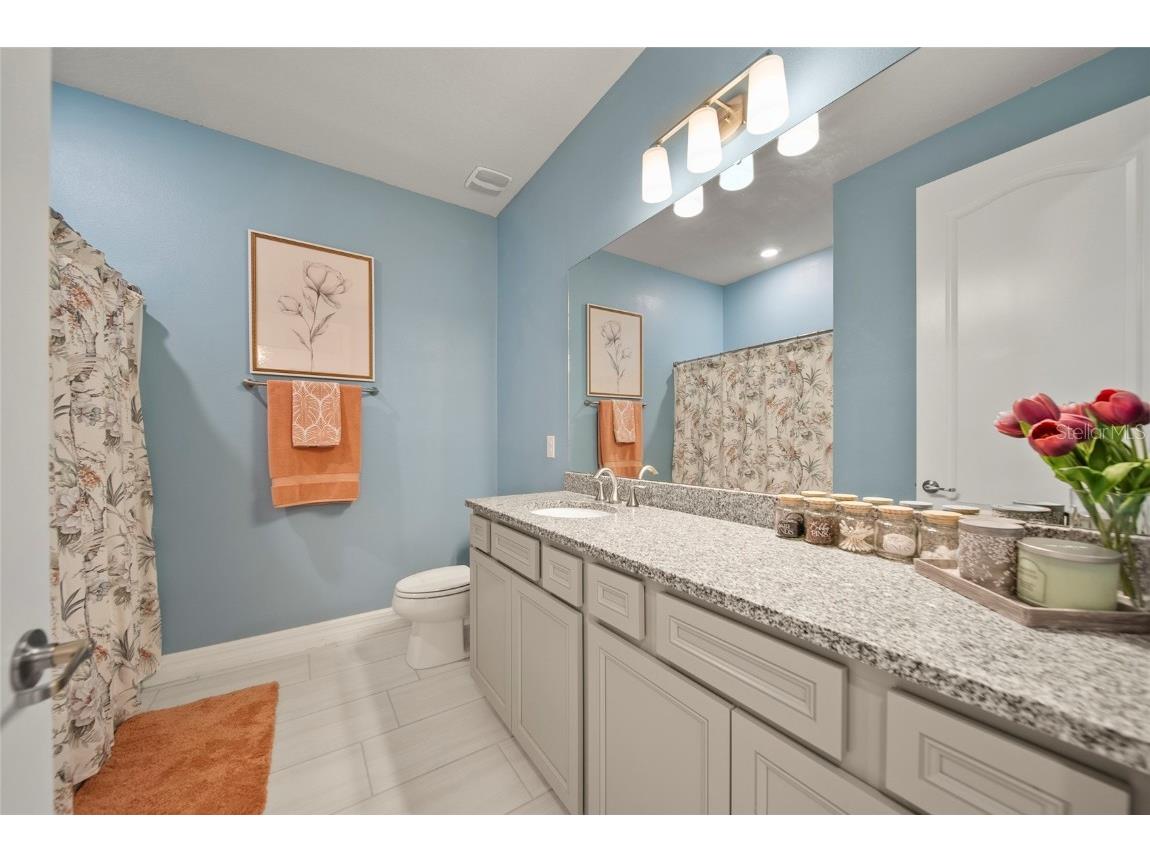 31643 Colada Drift Way Wesley Chapel FL 33545 TB8386197 image19