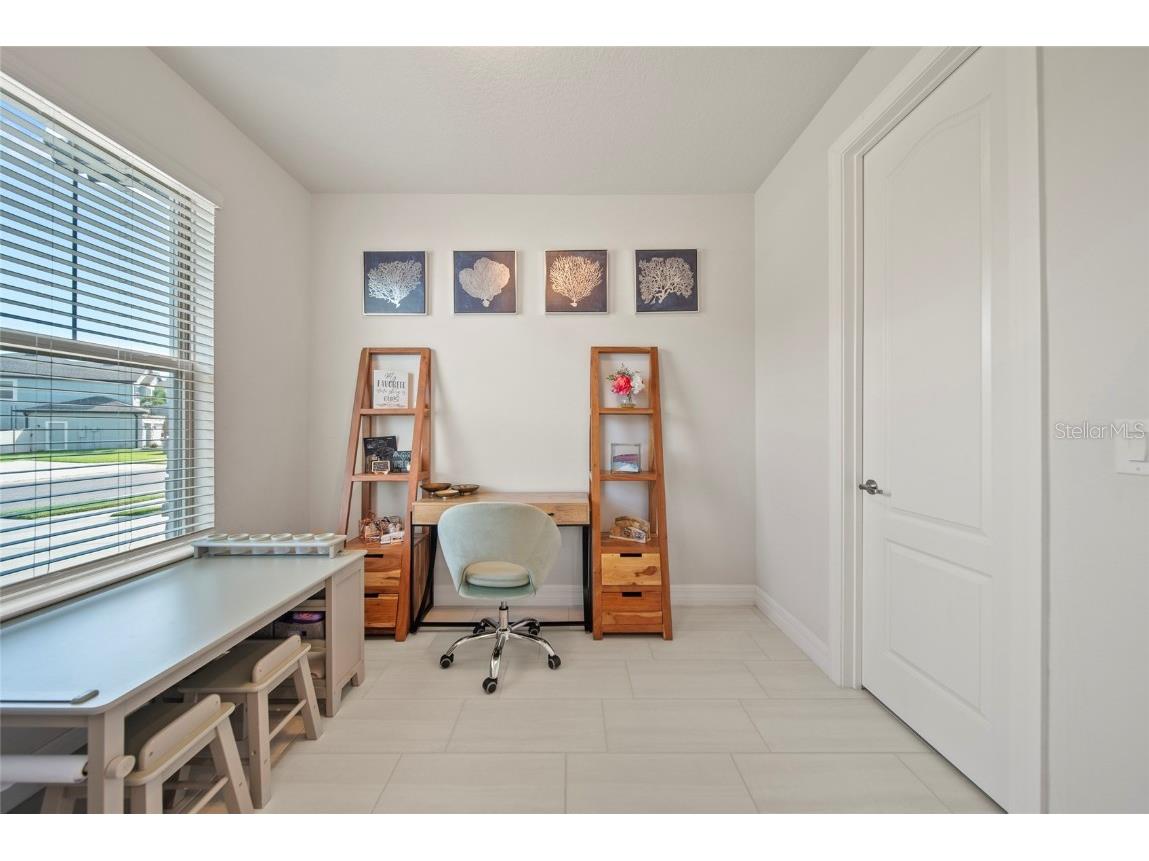 31643 Colada Drift Way Wesley Chapel FL 33545 TB8386197 image20