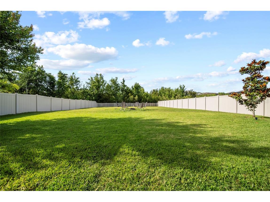 31643 Colada Drift Way Wesley Chapel FL 33545 TB8386197 image25