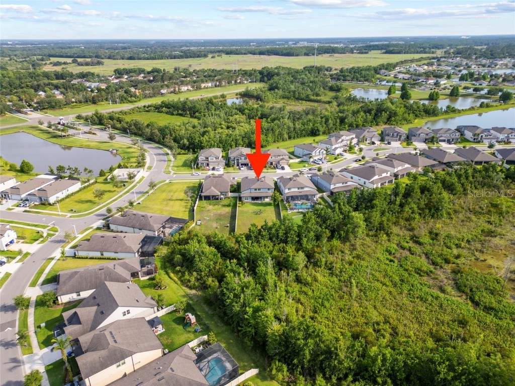 31643 Colada Drift Way Wesley Chapel FL 33545 TB8386197 image27