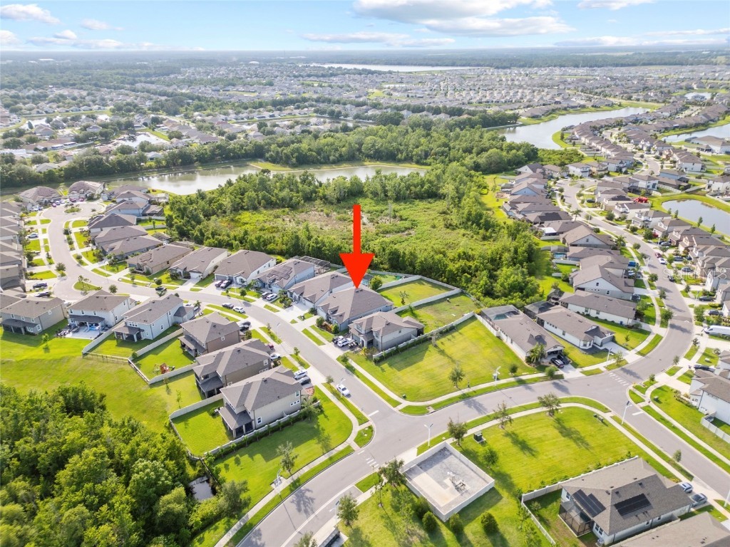 31643 Colada Drift Way Wesley Chapel FL 33545 TB8386197 image28