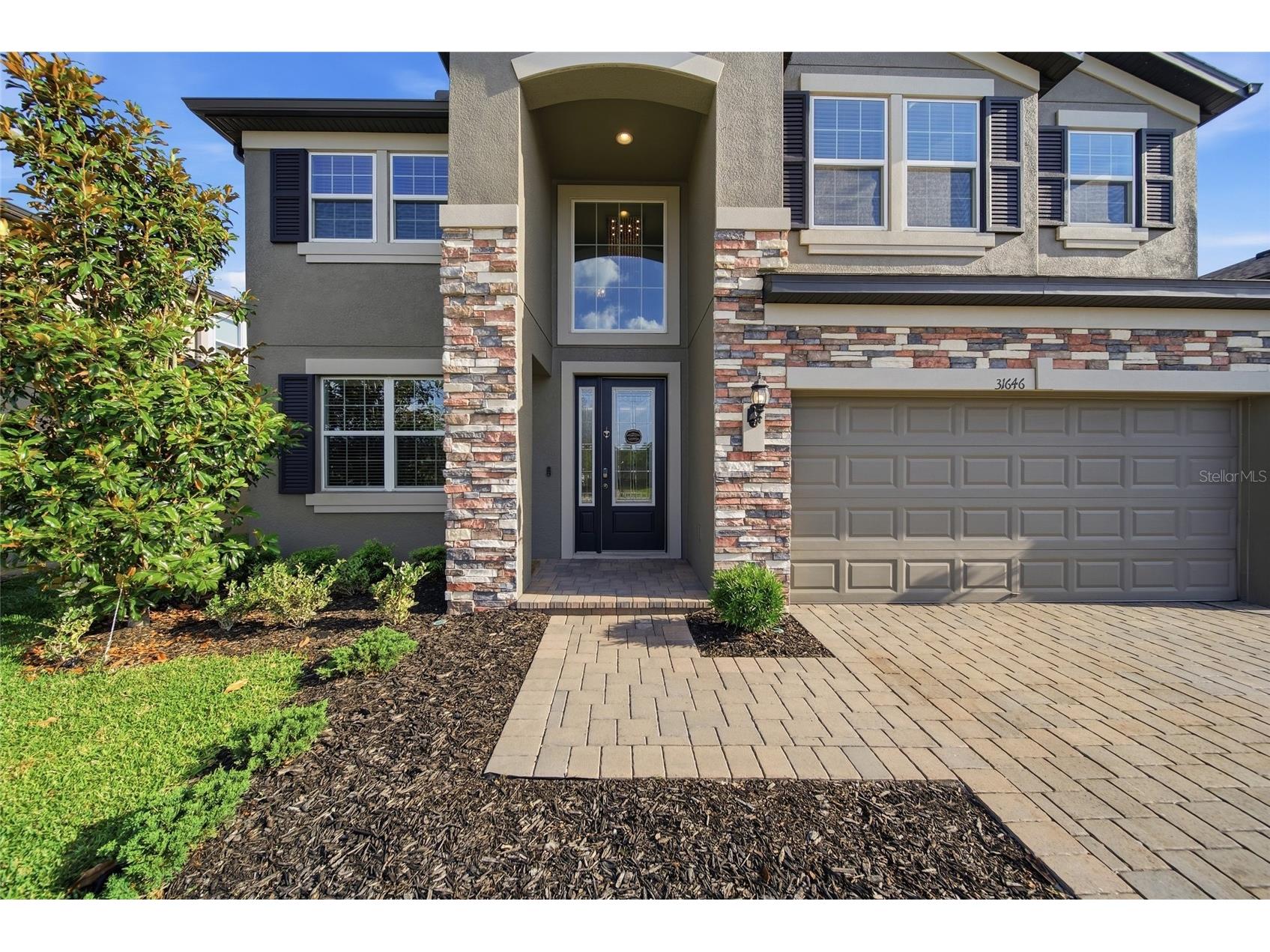 31646 Colada Drift Way Wesley Chapel FL 33545 TB8505204 image4