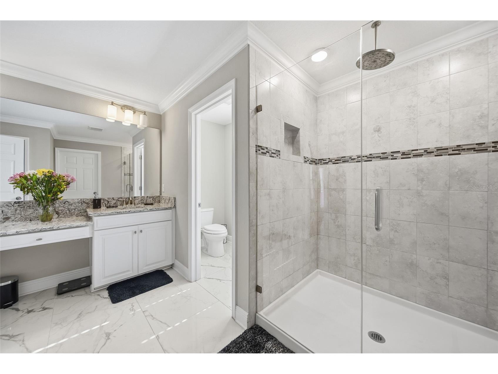 31646 Colada Drift Way Wesley Chapel FL 33545 TB8505204 image40