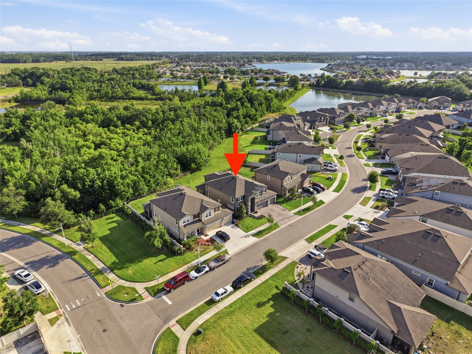 31646 Colada Drift Way Wesley Chapel FL 33545 TB8505204 image47