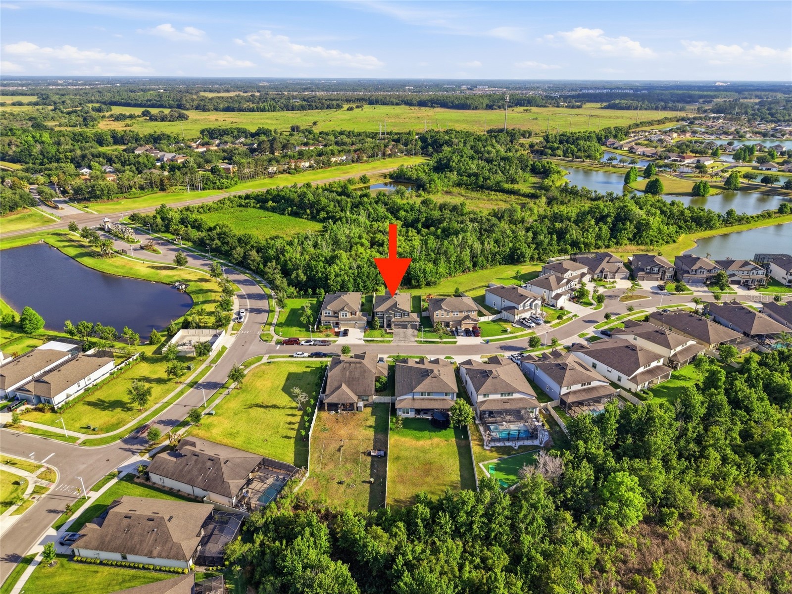 31646 Colada Drift Way Wesley Chapel FL 33545 TB8505204 image48
