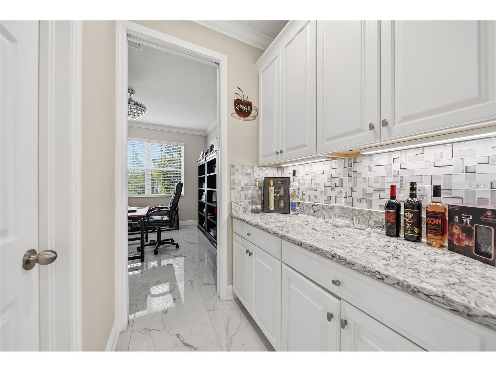 31646 Colada Drift Way Wesley Chapel FL 33545 TB8505204 image8