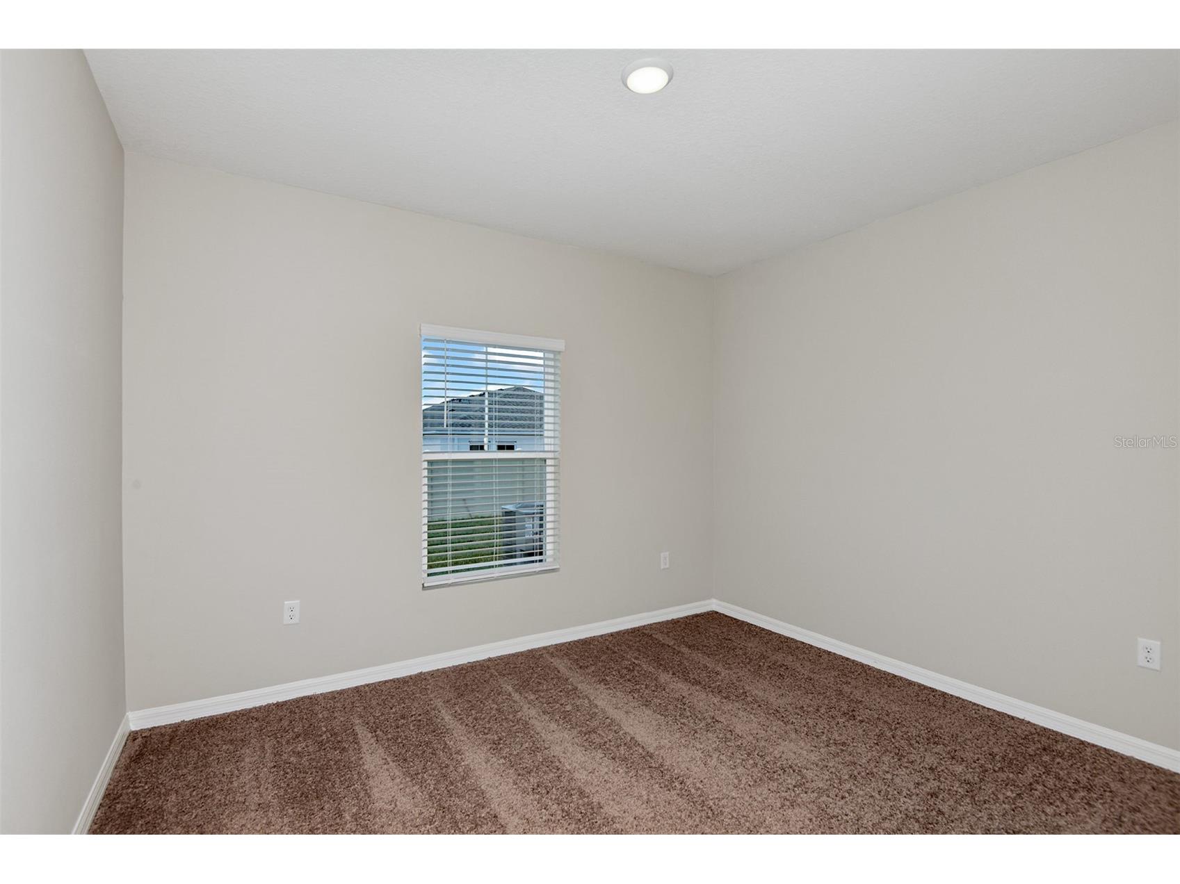 31647 Bienville Lane Wesley Chapel FL 33545 TB8495677 image14