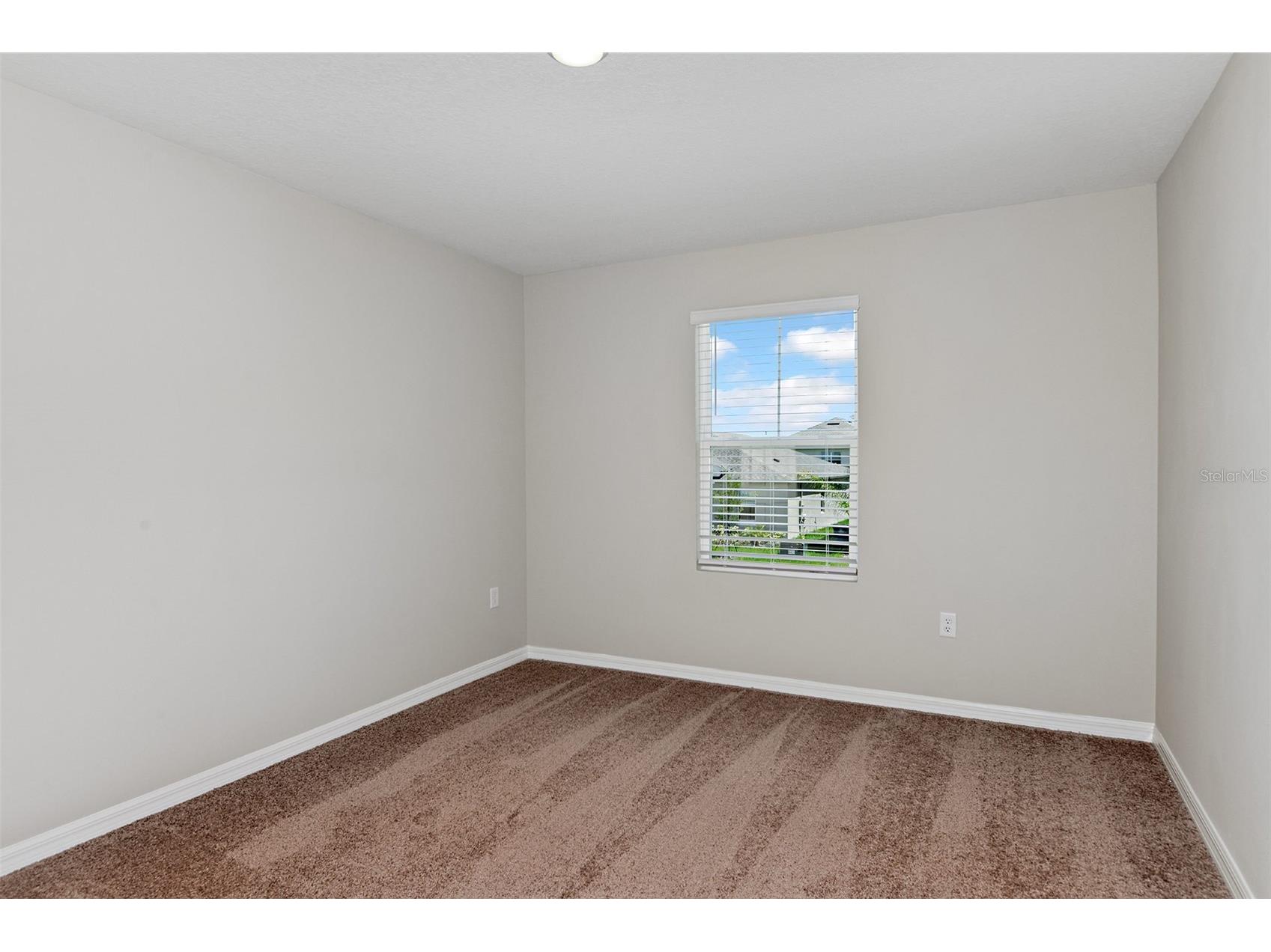 31647 Bienville Lane Wesley Chapel FL 33545 TB8495677 image19
