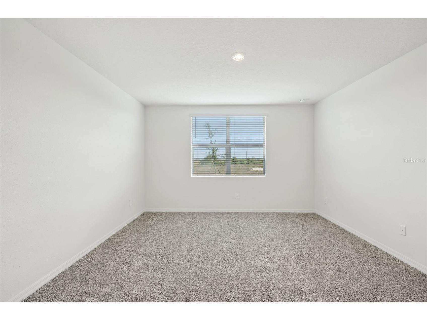 31647 Malbec Drive Brooksville FL 34602 TB8390339 image25