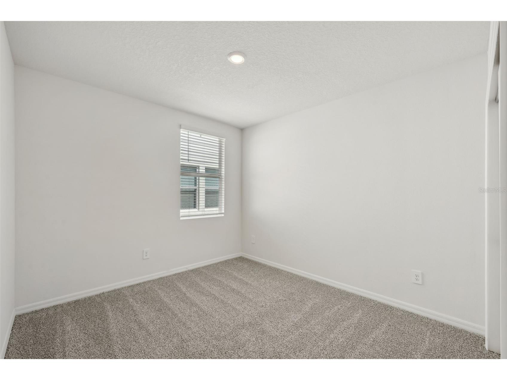 31647 Malbec Drive Brooksville FL 34602 TB8390339 image30