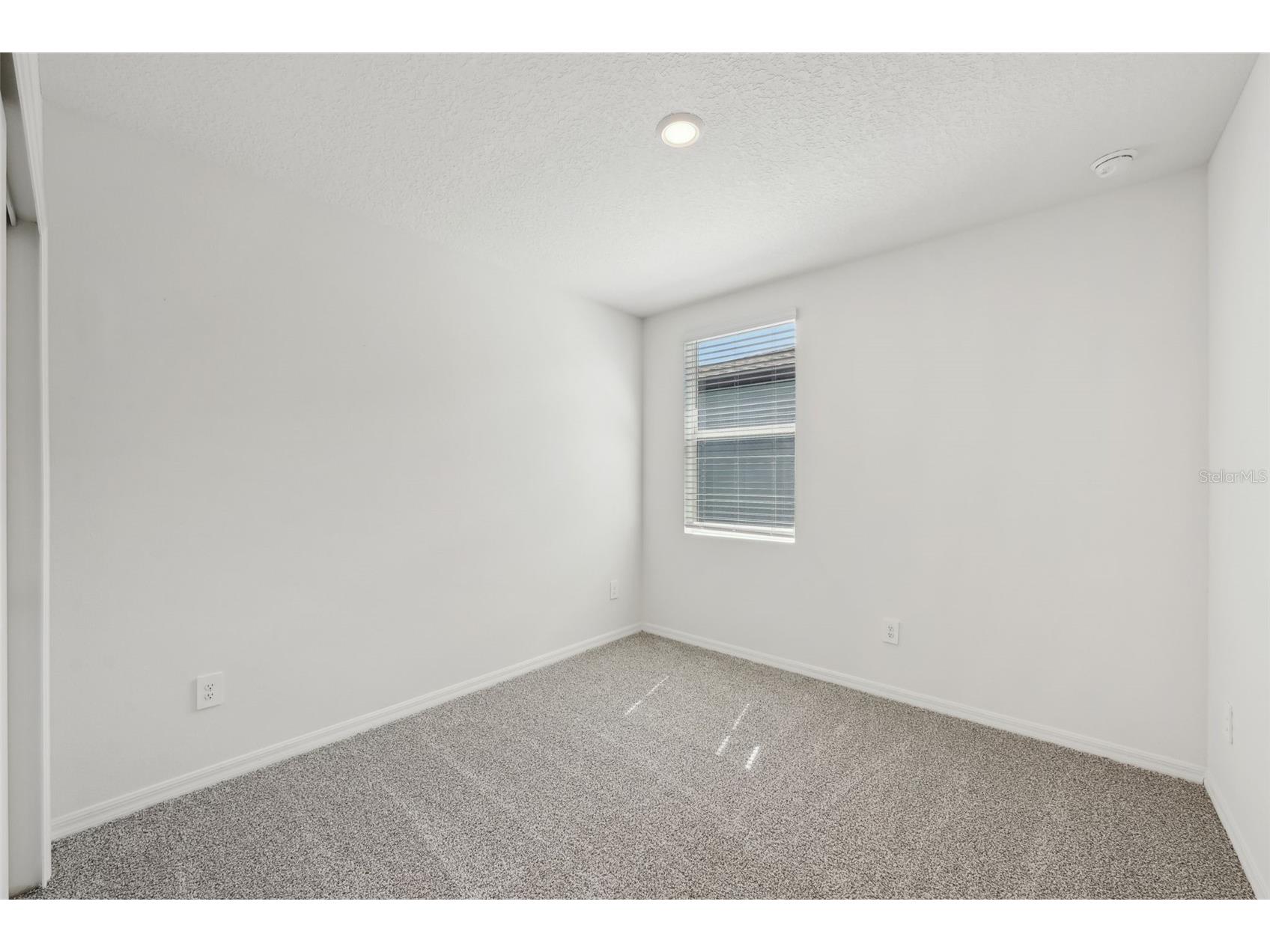 31647 Malbec Drive Brooksville FL 34602 TB8390339 image32