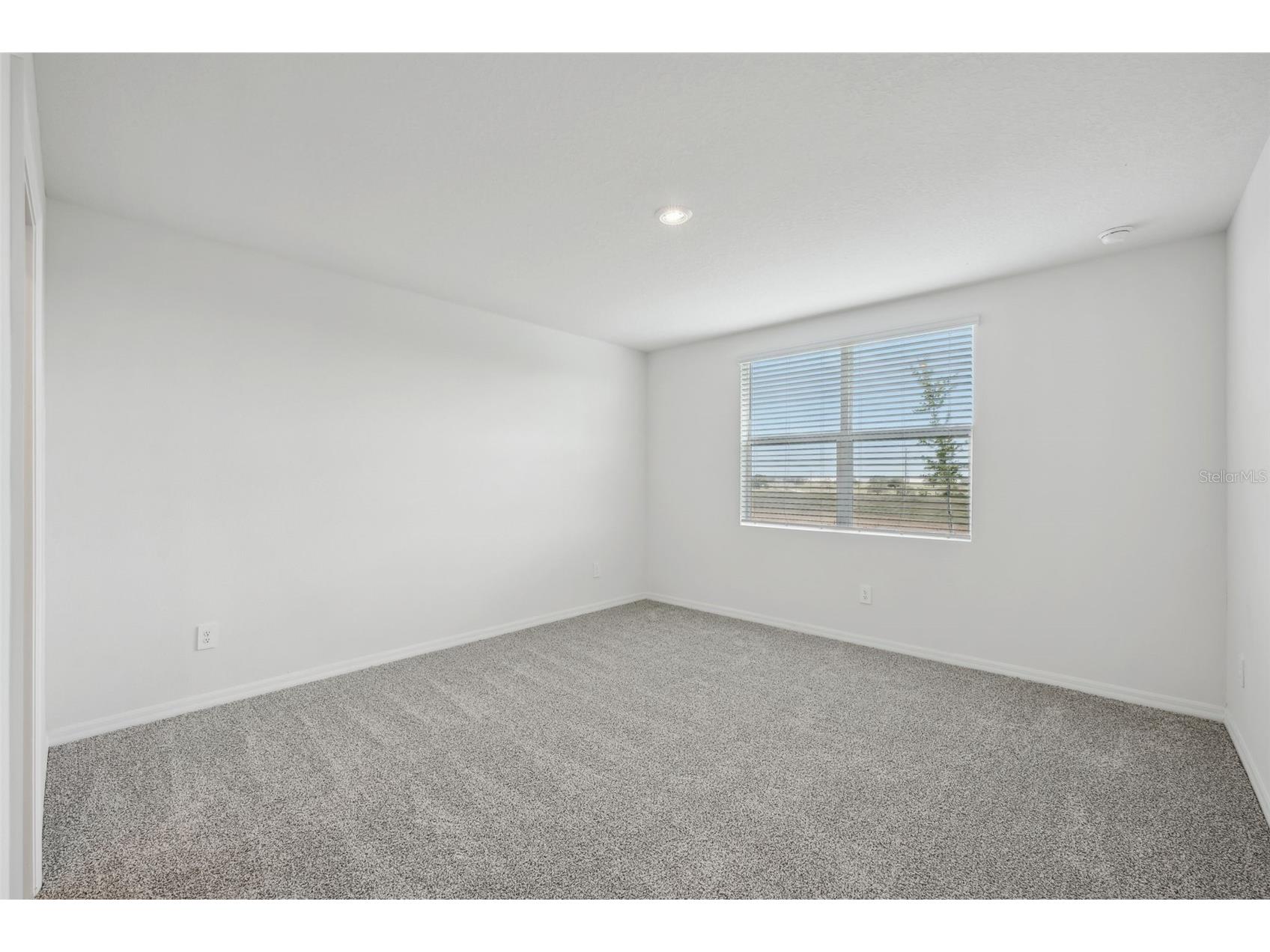 31647 Malbec Drive Brooksville FL 34602 TB8390339 image8