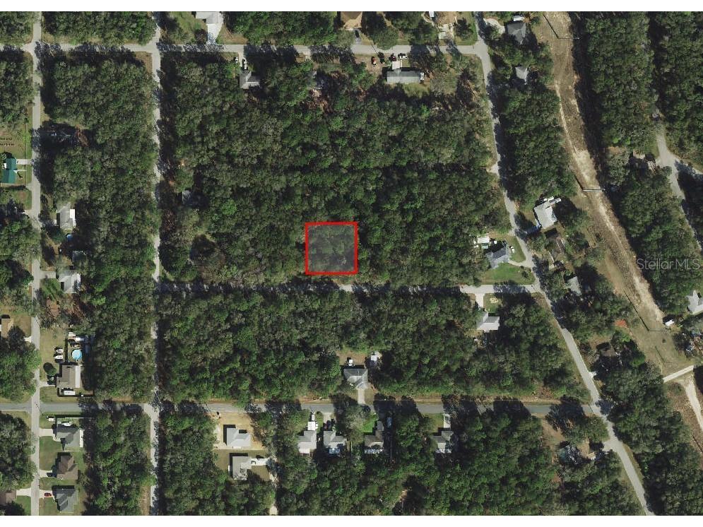 3165 E John Lane Inverness FL 34453 A4677188 image2