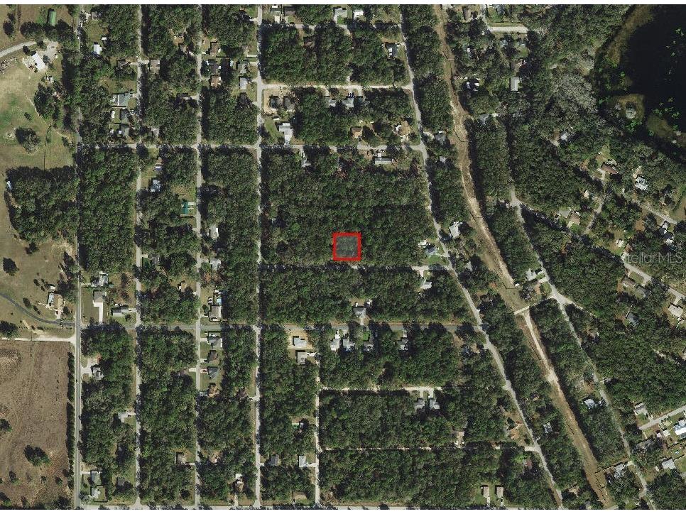 3165 E John Lane Inverness FL 34453 A4677188 image3