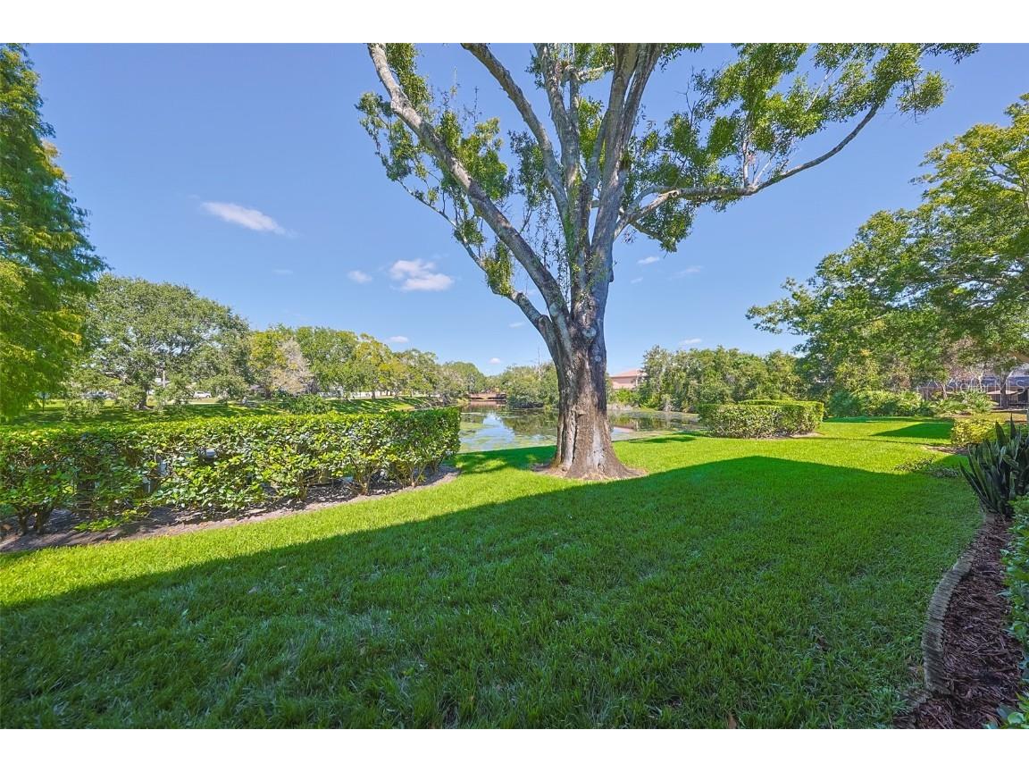 3165 Landmark Drive #713 Clearwater FL 33761 TB8439860 image34