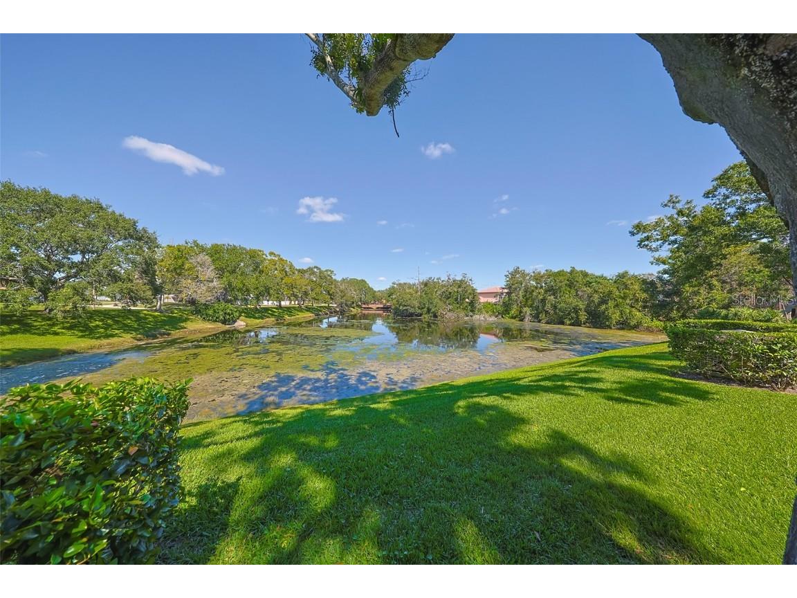 3165 Landmark Drive #713 Clearwater FL 33761 TB8439860 image35