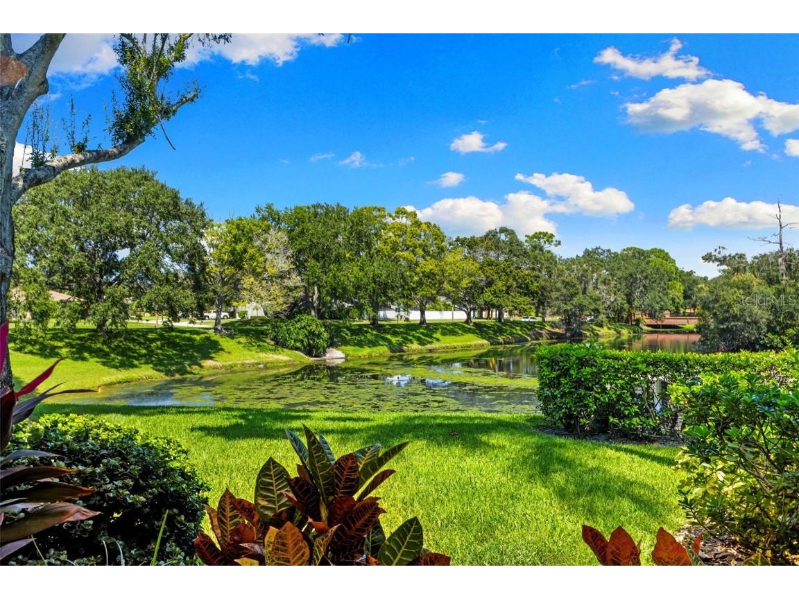 3165 Landmark Drive #714 Clearwater FL 33761 TB8423285 image29