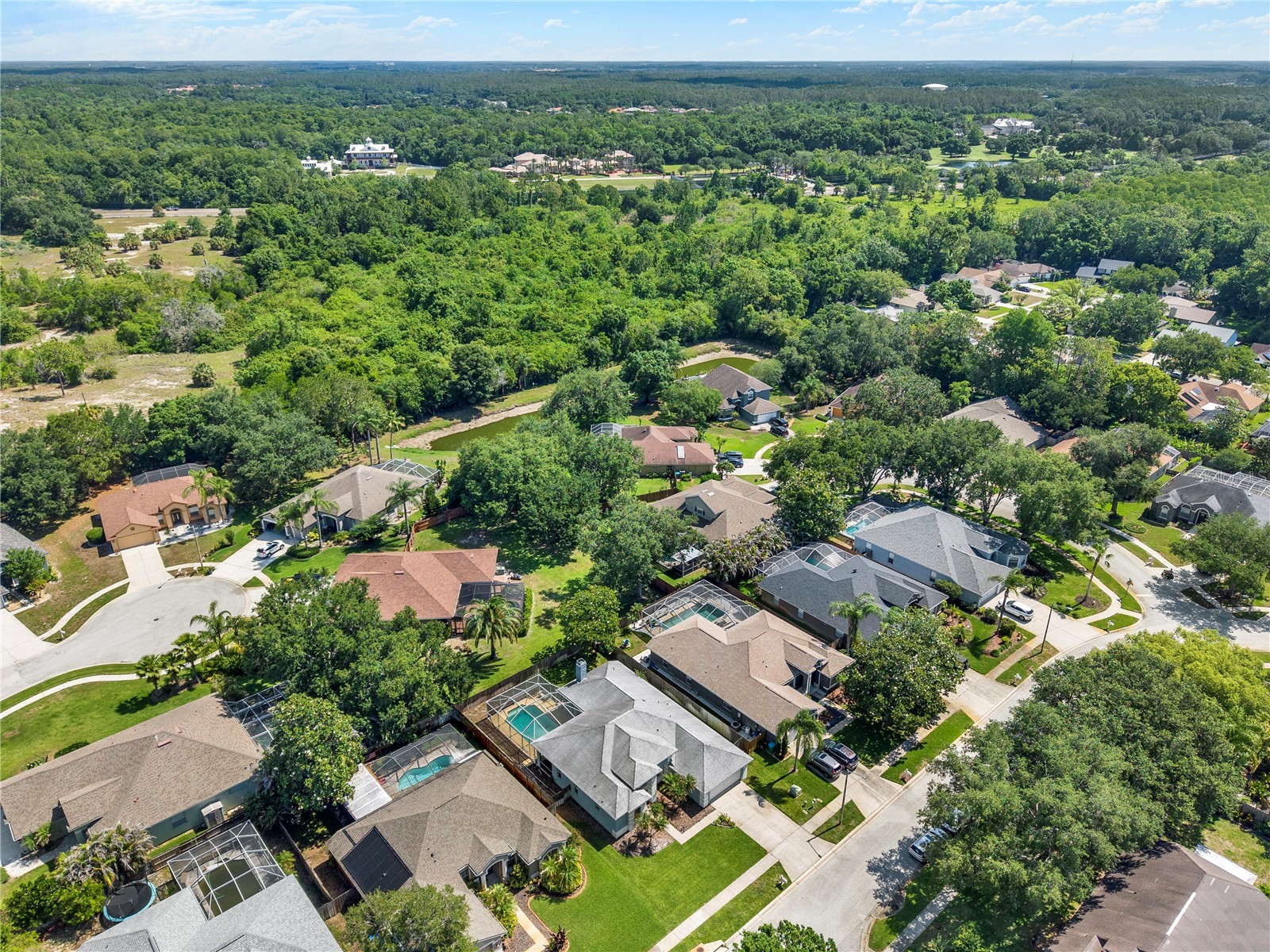 3165 Prides Crossing Tarpon Springs FL 34688 TB8508978 image34