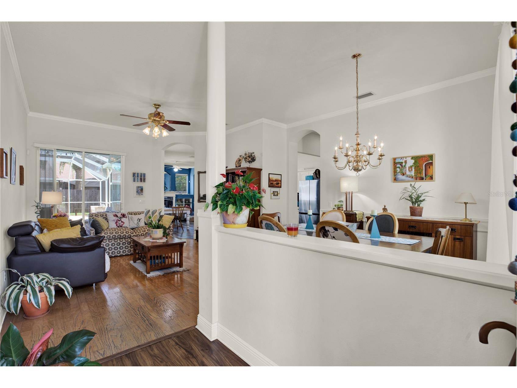 3165 Prides Crossing Tarpon Springs FL 34688 TB8508978 image7