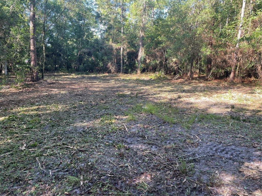 3165 Stewart Boulevard Kissimmee FL 34746 S5133341 image5