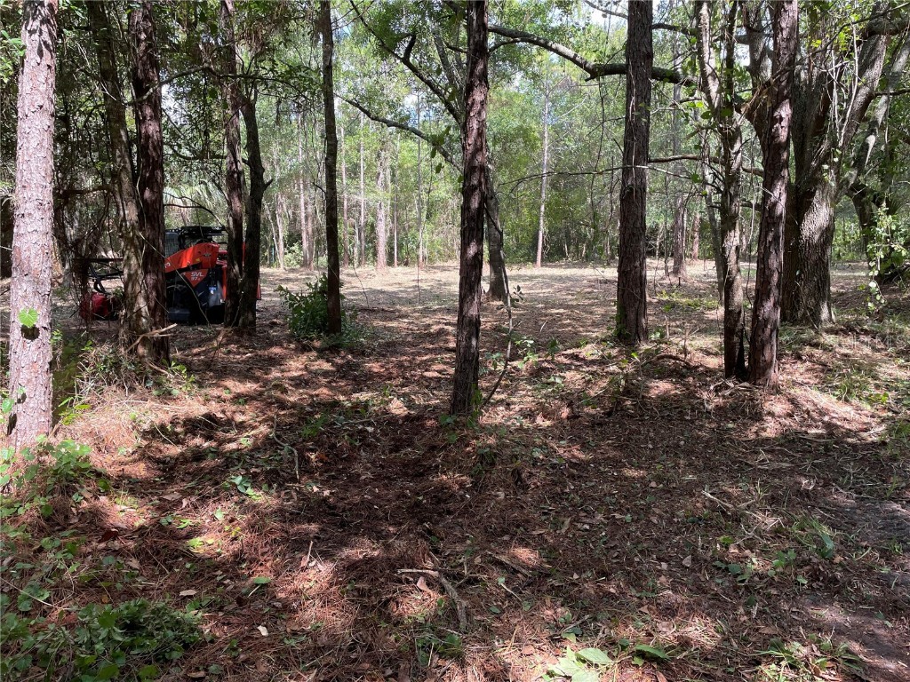 3165 Stewart Boulevard Kissimmee FL 34746 S5133341 image8