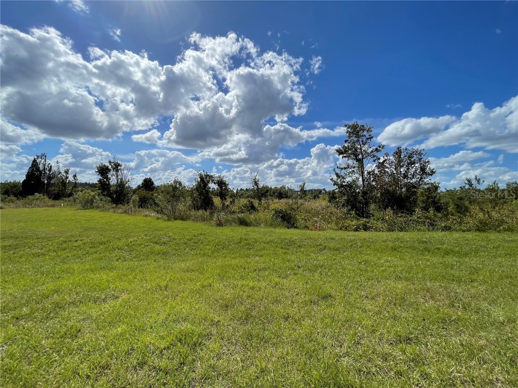 31653 Blue Passing Loop Wesley Chapel FL 33545 TB8421729 image15