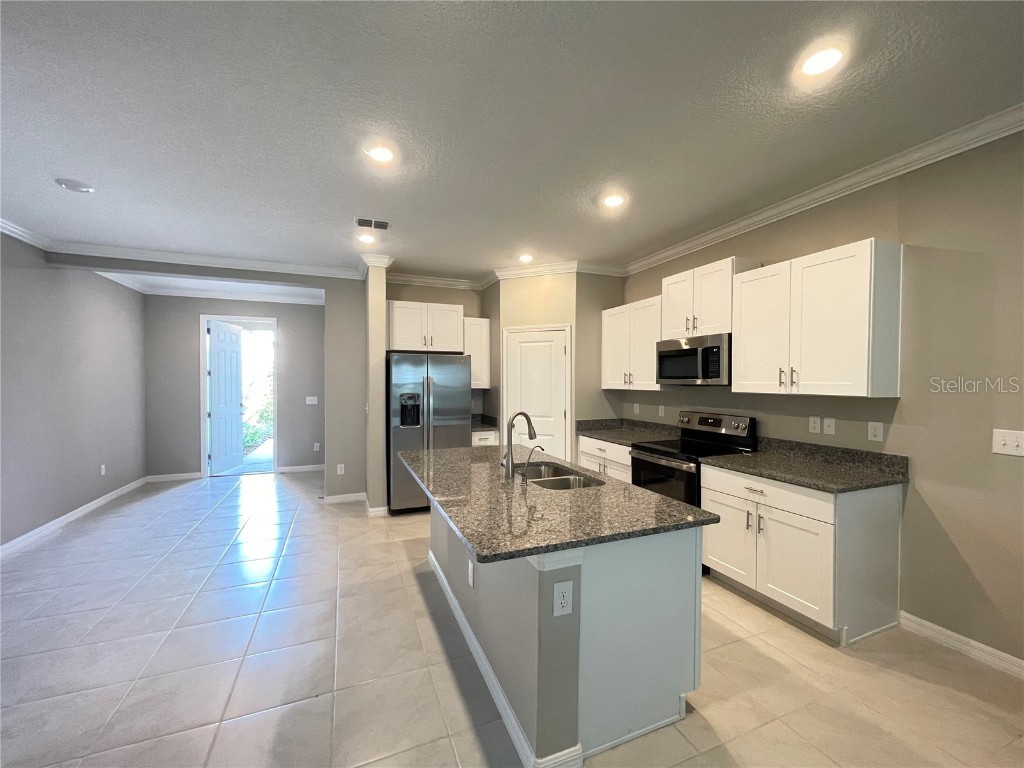 31653 Blue Passing Loop Wesley Chapel FL 33545 TB8421729 image3