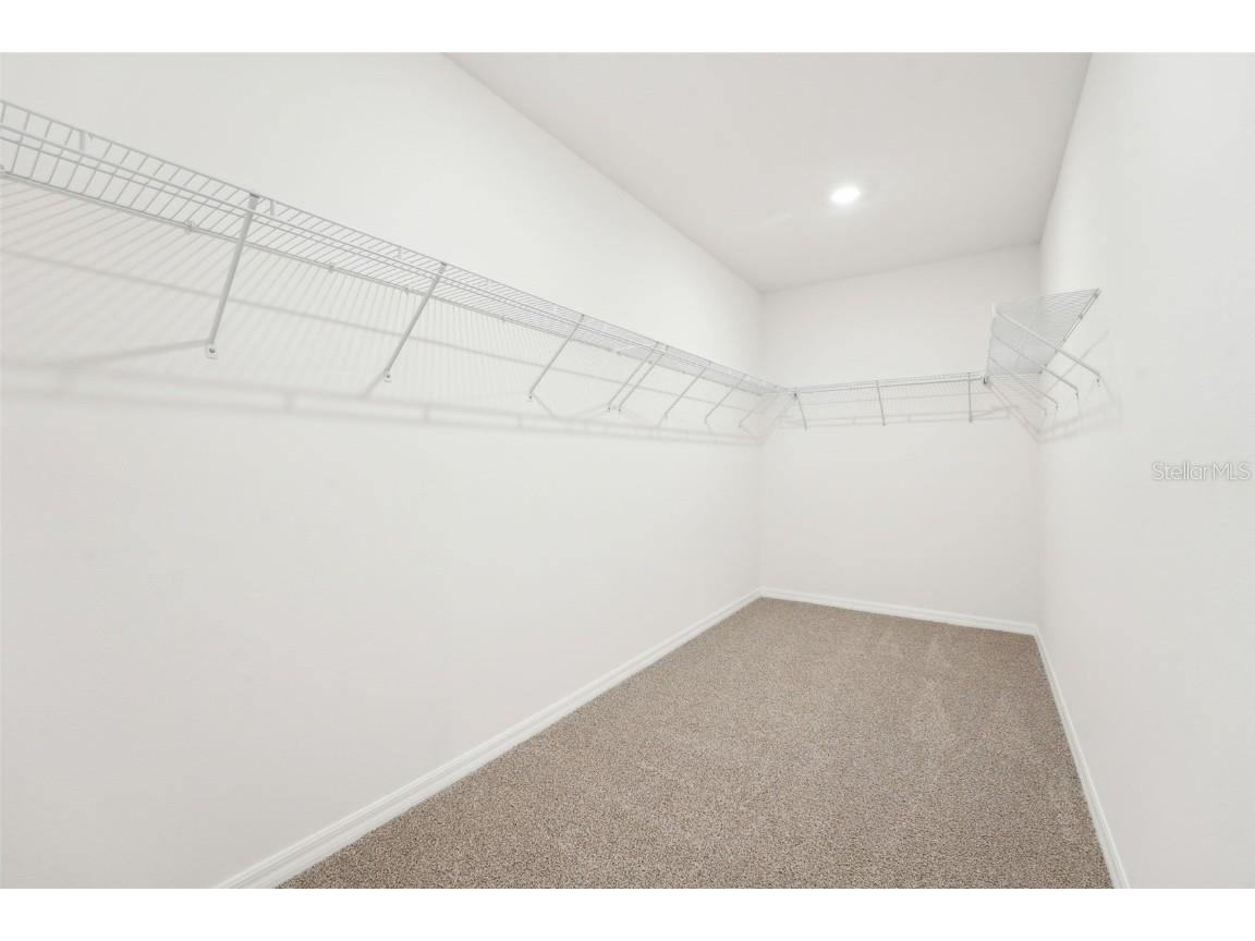 31653 Wild Grape Lane Brooksville FL 34602 O6293084 image22