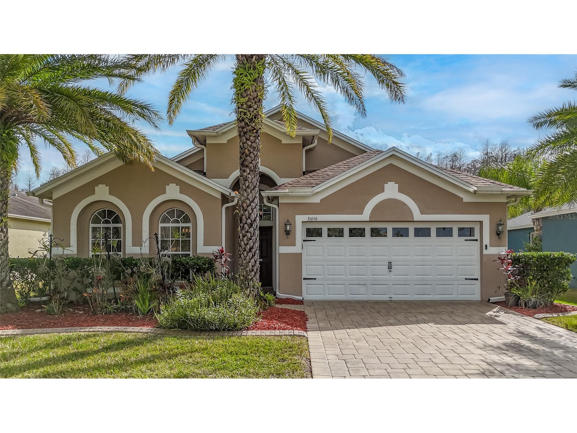 31656 Marchester Drive Wesley Chapel FL 33543 TB8468347 image1