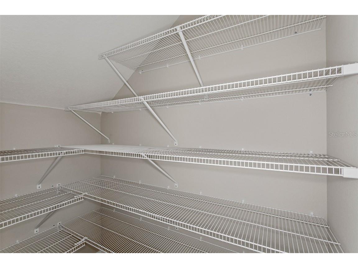 31659 Bienville Lane Wesley Chapel FL 33545 TB8445177 image8