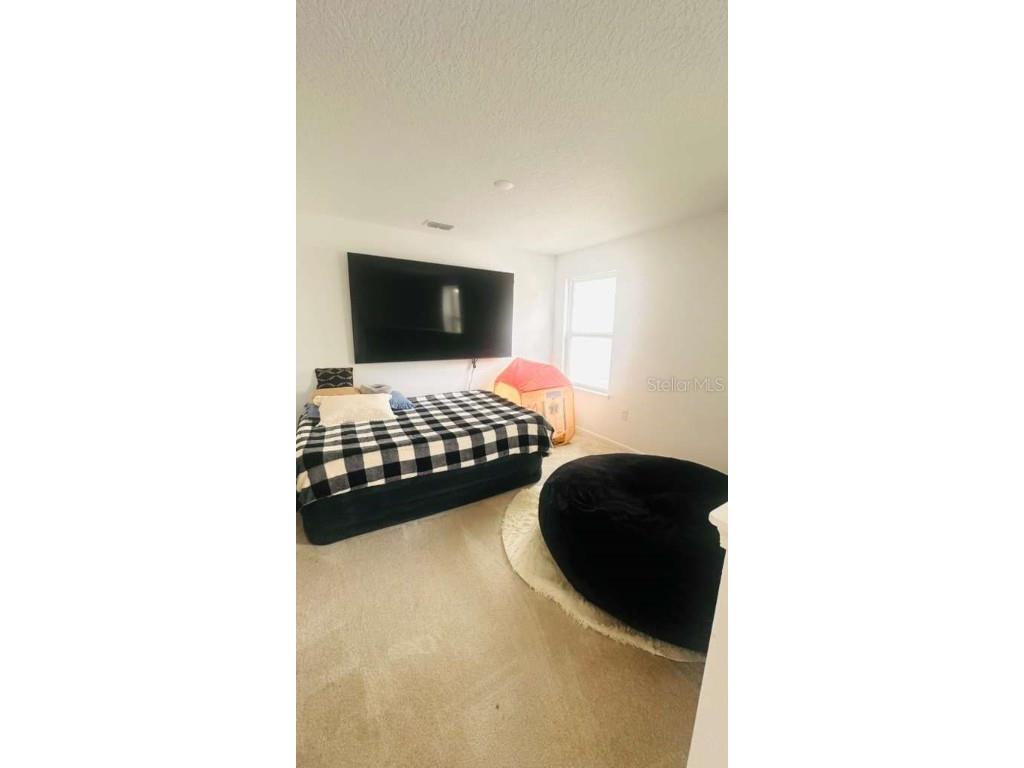 3166 Armstrong Spring Dr Kissimmee FL 34744 S5135636 image15