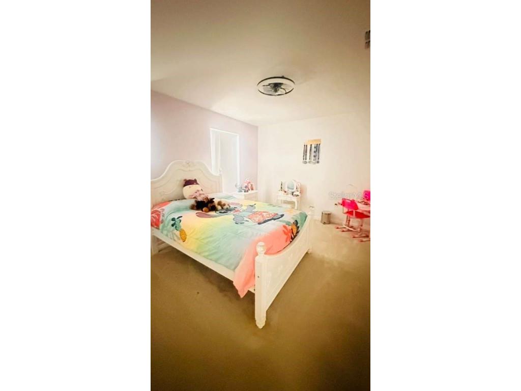 3166 Armstrong Spring Dr Kissimmee FL 34744 S5135636 image17