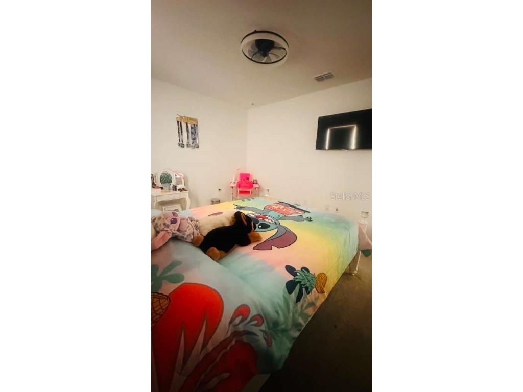 3166 Armstrong Spring Dr Kissimmee FL 34744 S5135636 image19